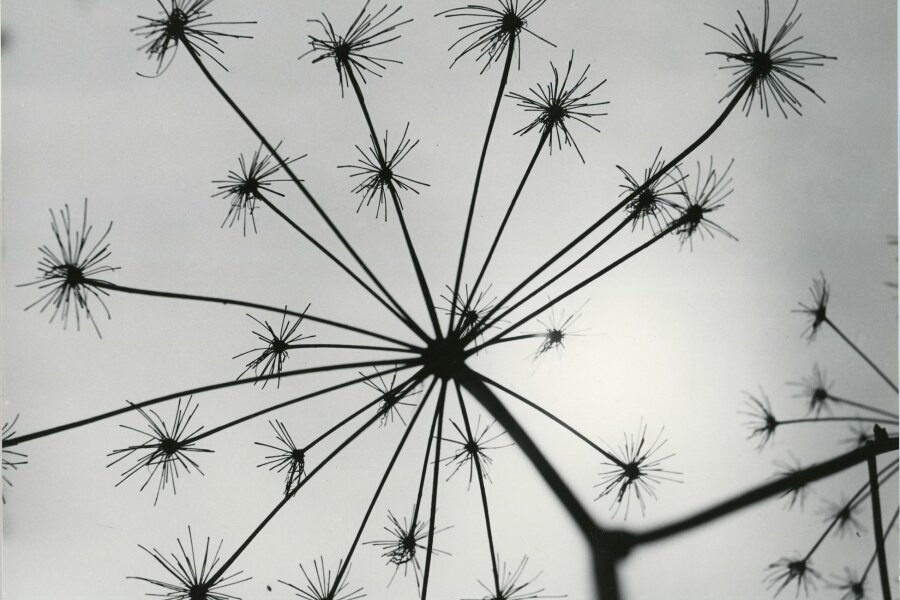 Ladislav Postupa, Individualista